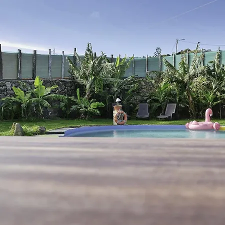 Villa Canaria Luna - Large Saltwater Pool